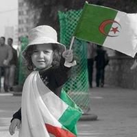 حي بوعافية chat bot