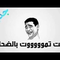 Nokat alg dz chat bot