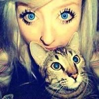 عشاق آوروبا chat bot