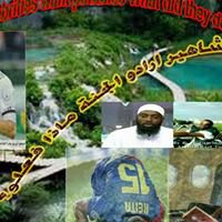 Celebrities want paradise What did they do? chat bot