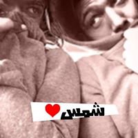 ش̷ُم̷س̷-Shams chat bot