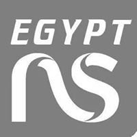 Egypt Network and Software Solutions chat bot