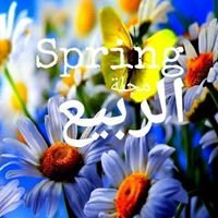 الربيع - Spring chat bot
